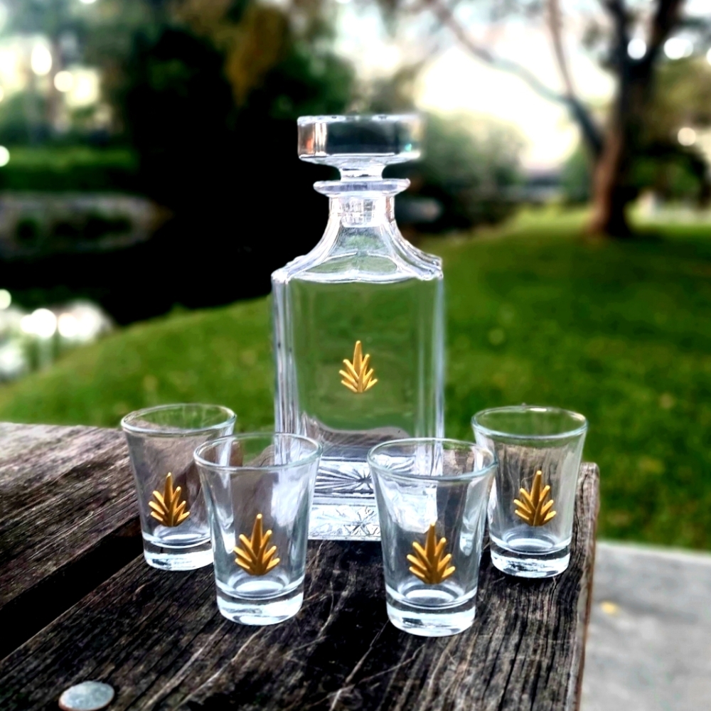 Tequila decanter bottle with its 4 shots, new styleTequila decanter bottle with